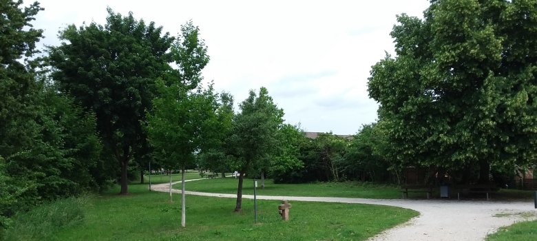Das Bild zeigt einen geschwungenen Weg umrandet mit grünen Wiesen und Bäumen im Lutherpark Dudenhofen.