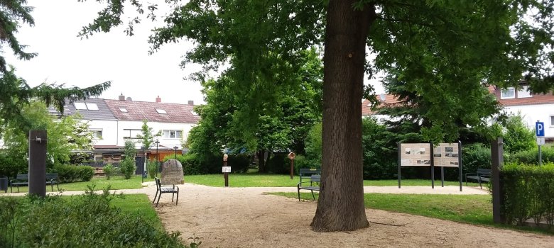 Ein großer Weg zieht sich durch das parkähnliche Gelände der Gedenkstätte Rollwald. In der Mitte rechts steht ein großer Baum. Auf den Wiesen sind Kunstwerke und Infotafeln.