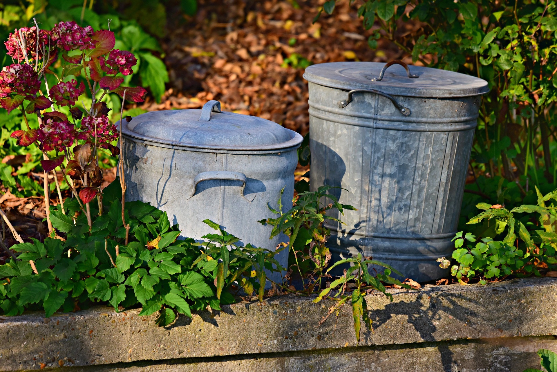 Two grey metal dustbins with lids stand between green plants and pink flowers on a wooden trunk.