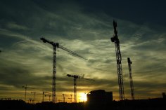 Photo with several cranes at sunrise