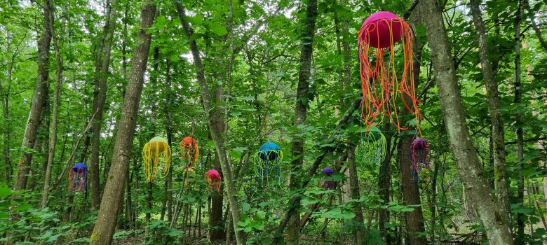 Green forest in Nieder-Roden with colourful works of art in the trees
