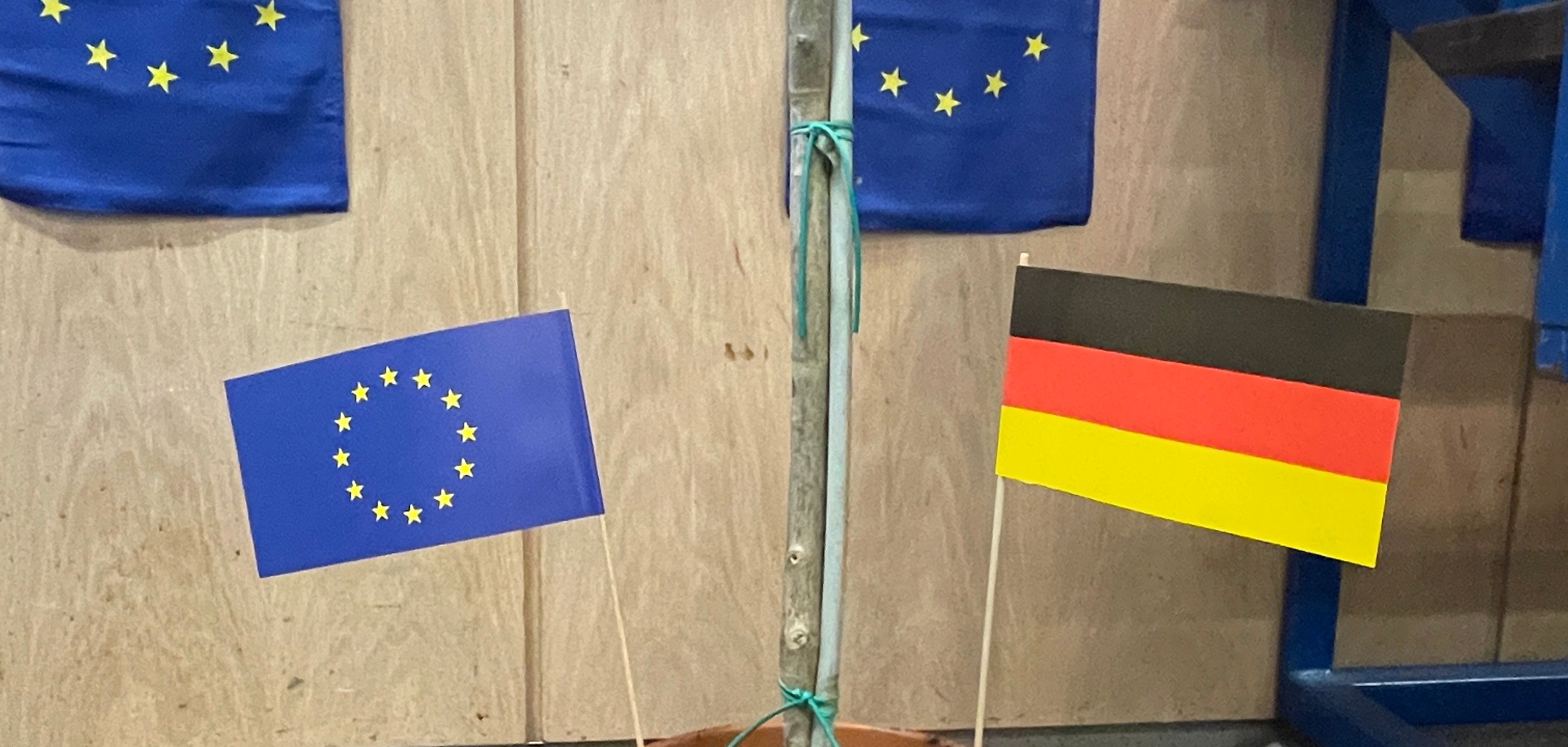 Potted plant with flags of the European Union and Germany, in front of a wall with EU flags