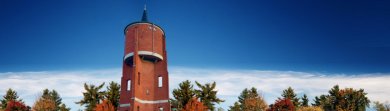 La parte superior de la torre de agua se puede ver contra un cielo azul y las copas de los árboles en la parte inferior de la imagen.
