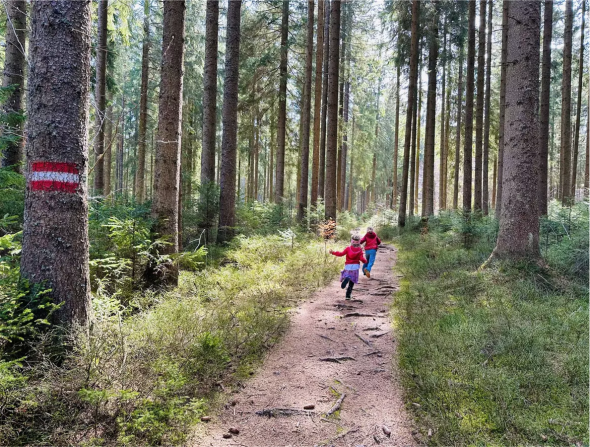 Deux enfants vêtus de rouge marchent sur un chemin forestier entre de grands conifères, un tronc d'arbre porte une marque rouge et blanche.
