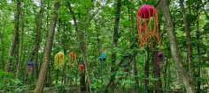 Forêt verte de Nieder-Roden avec des œuvres d'art colorées dans les arbres