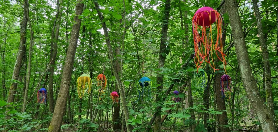Forêt verte de Nieder-Roden avec des œuvres d'art colorées dans les arbres