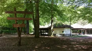 Capanna in legno circondata da alberi nel centro ricreativo della foresta