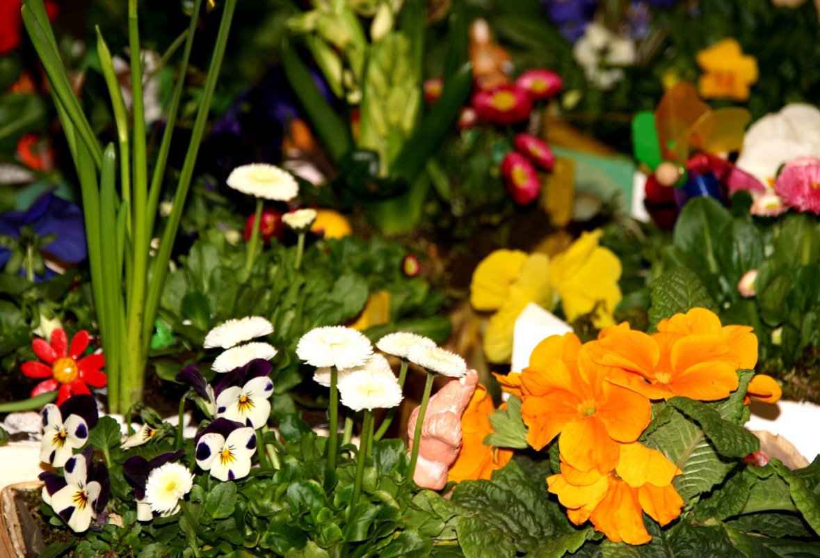 Grande plano de várias flores coloridas no mercado da Páscoa, com flores amarelas, brancas e roxas