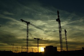 Gruas Foto com vários grous ao nascer do sol