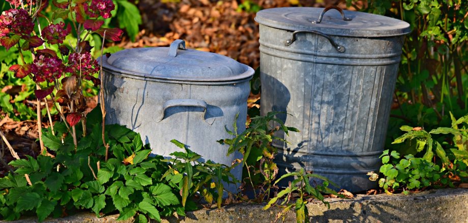 Două coșuri de gunoi din metal gri cu capac stau între plante verzi și flori roz pe un trunchi de lemn.