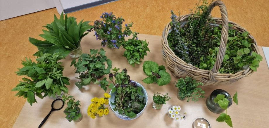 Bucătăria sălbatică de toamnă Diverse ierburi și plante proaspete, așezate în ghivece, boluri și un coș împletit, dispuse pe o masă.