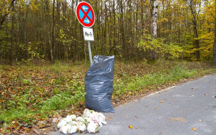 Herbst-Kehraus 2017
