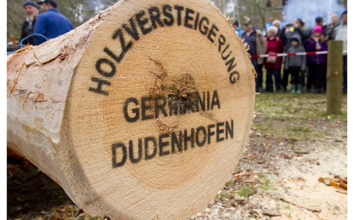 Energieversorgung Rodau GmbH - Partner der 'Historischen Holzversteigerung' Gesangverein Germania 1895 e.V.