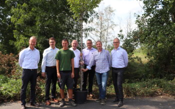 Bäume für Rodgau
