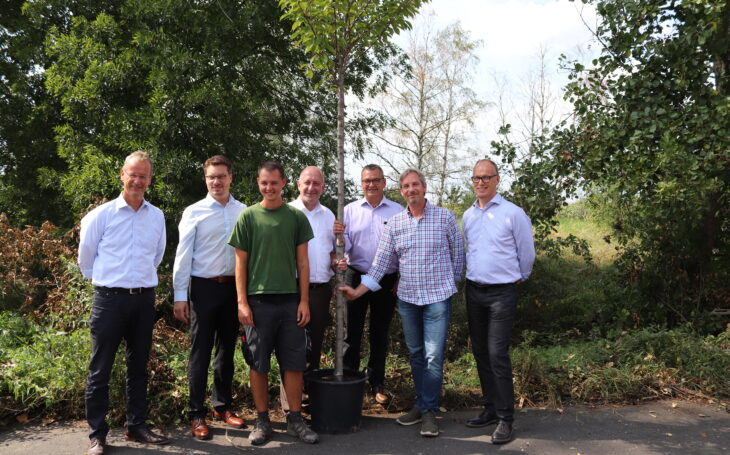 Bäume für Rodgau
