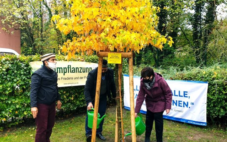 Baumpflanzung 1