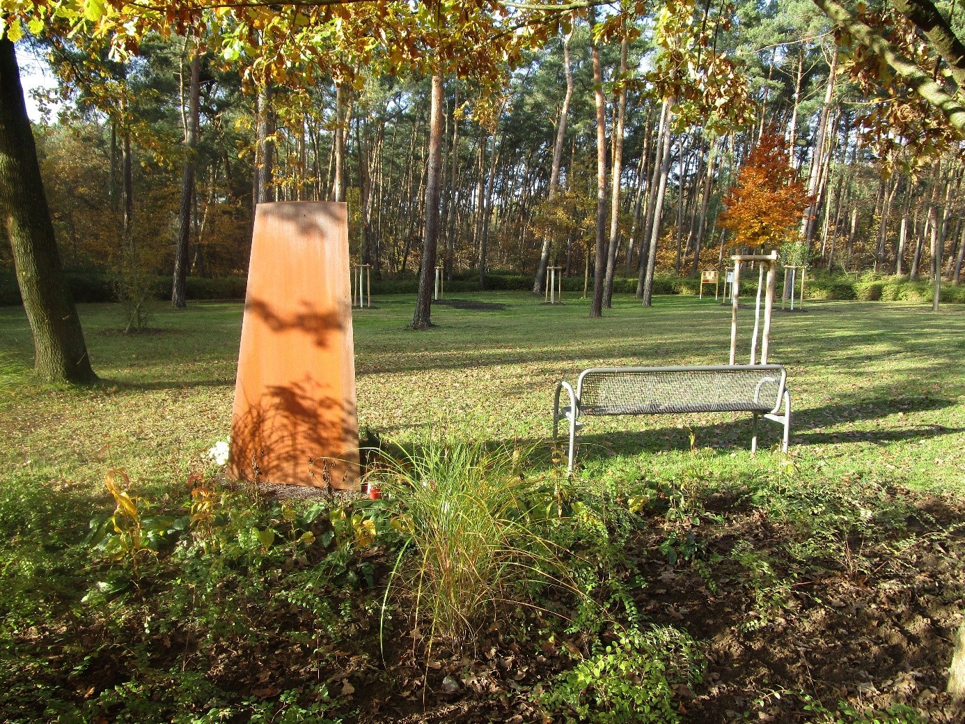 Baumgrabfeld Der Blick richtet sich auf eine Rasenfläche. Links ist eine Stele aus gerostetem Stahl, rechts ein Bank. Im Hintergrund sieht man Kiefern.